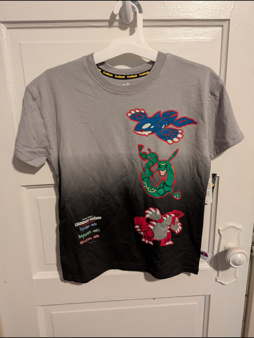 Pokémon Kids' Gray to Black Gradient Legendary Graphic T-Shirt